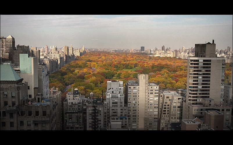 Central Park Panorama