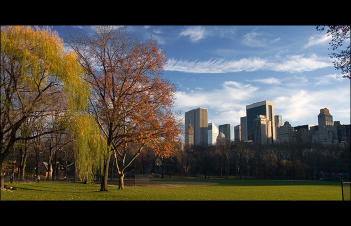 Vacant Park View